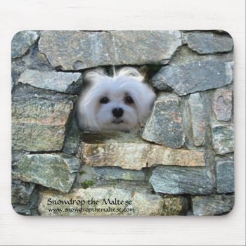 Snowdrop The Maltese Mouse Pad by MoragBates at Zazzle