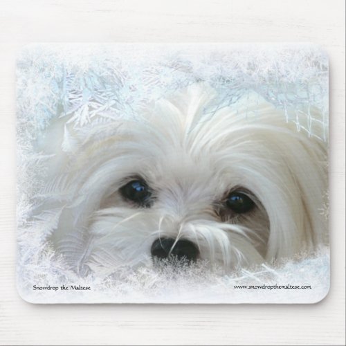 Snowdrop the Maltese Mouse Pad