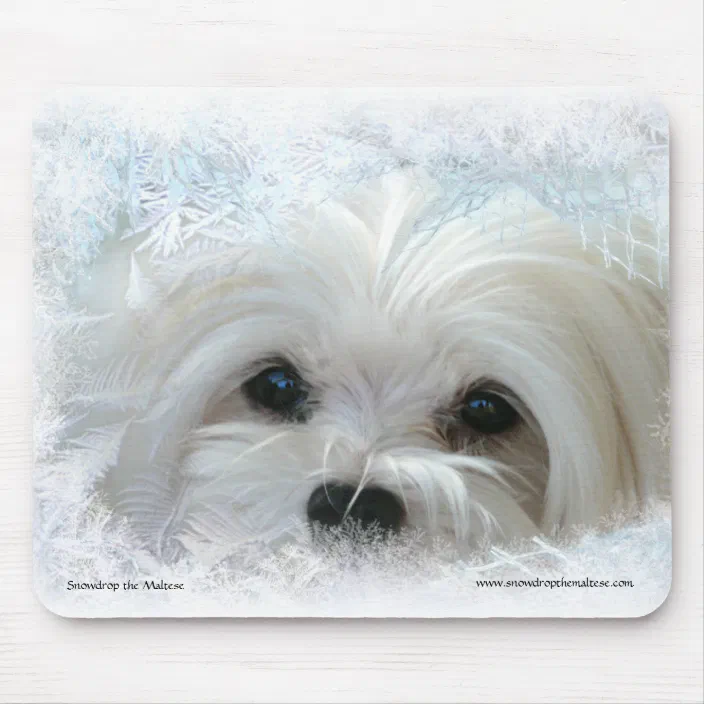 Maltese Terrier Personalised Computer Mouse Mat