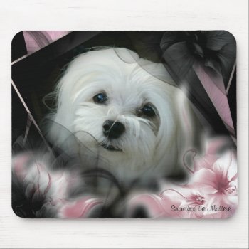 Snowdrop The Maltese Mousepad by MoragBates at Zazzle