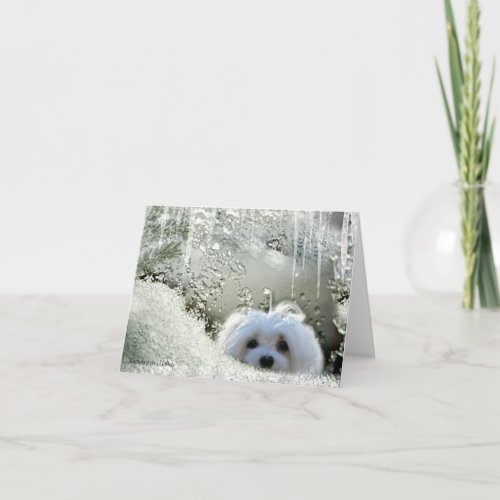 Snowdrop the Maltese Note Card