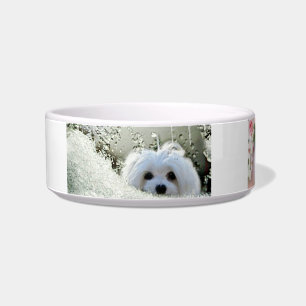 Snowdrop the Maltese Pet Bowl