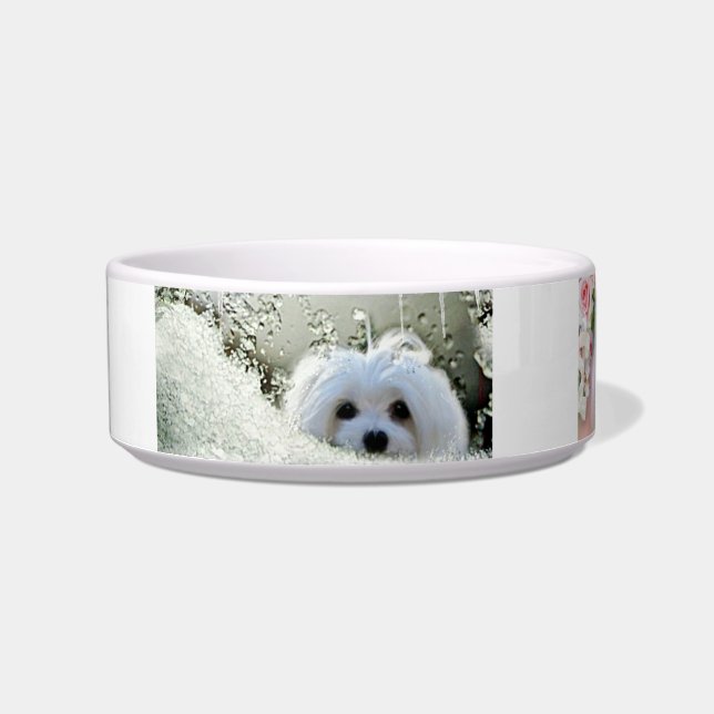 Snowdrop the Maltese Pet Bowl (Front)