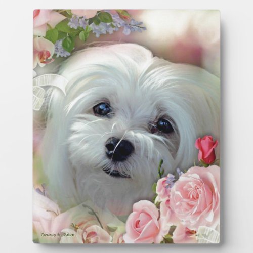 Snowdrop the Maltese Plaque