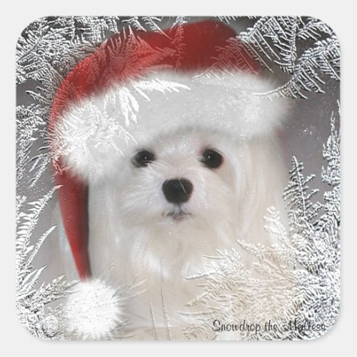 Snowdrop the Maltese Sticker