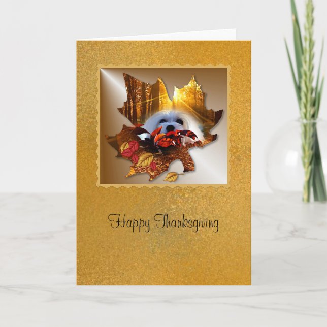 Snowdrop the Maltese Thanksgiving Card (Front)