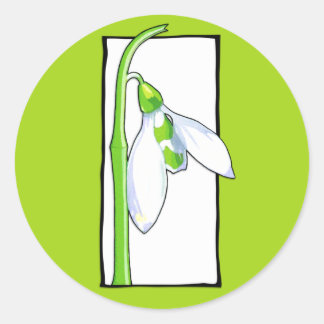 Snowdrop white green Sticker