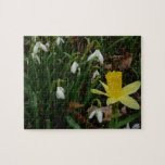 Snowdrops and Daffodil Spring Floral Jigsaw Puzzle
