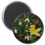 Snowdrops and Daffodil Spring Floral Magnet