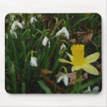 Snowdrops and Daffodil Spring Floral Mouse Pad