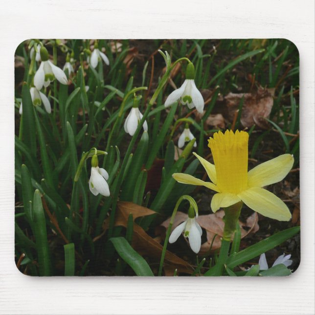 Snowdrops and Daffodil Spring Floral Mouse Pad (Front)
