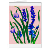 snowdrops and scilla (Front)