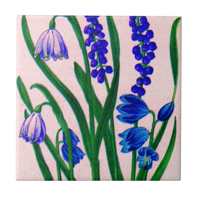 snowdrops and scilla ceramic tile (Front)