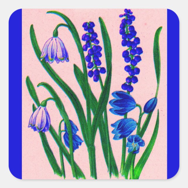 snowdrops and scilla square sticker (Front)