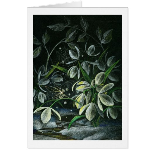 Snowdrops at Night Cards (Front)