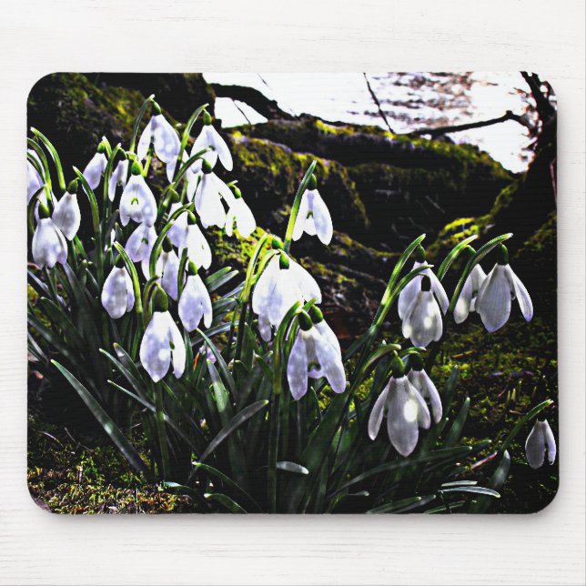 Snowdrops by River Hafren Mousemat Mouse Pad (Front)