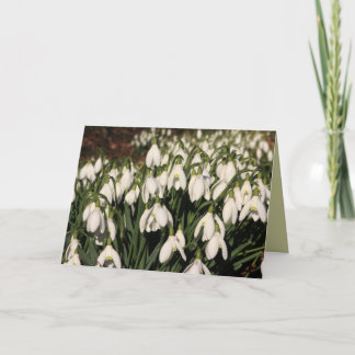 Snowdrops Card