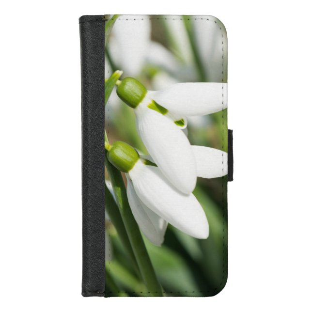 Snowdrops flowers iPhone wallet case (Front)