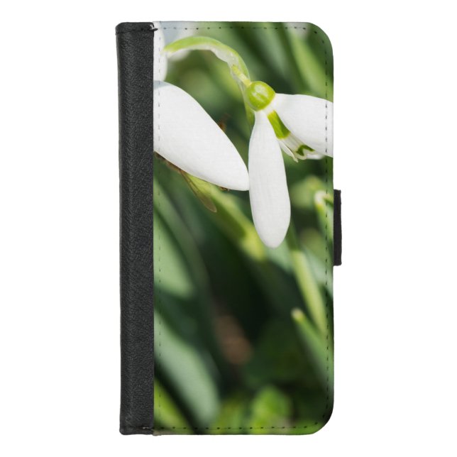 Snowdrops flowers iPhone wallet case (Front)