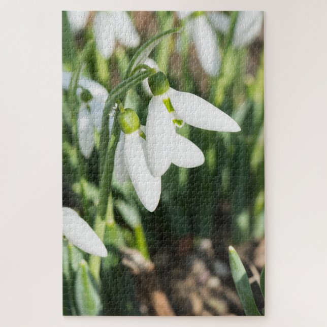 Snowdrops flowers jigsaw puzzle (Vertical)