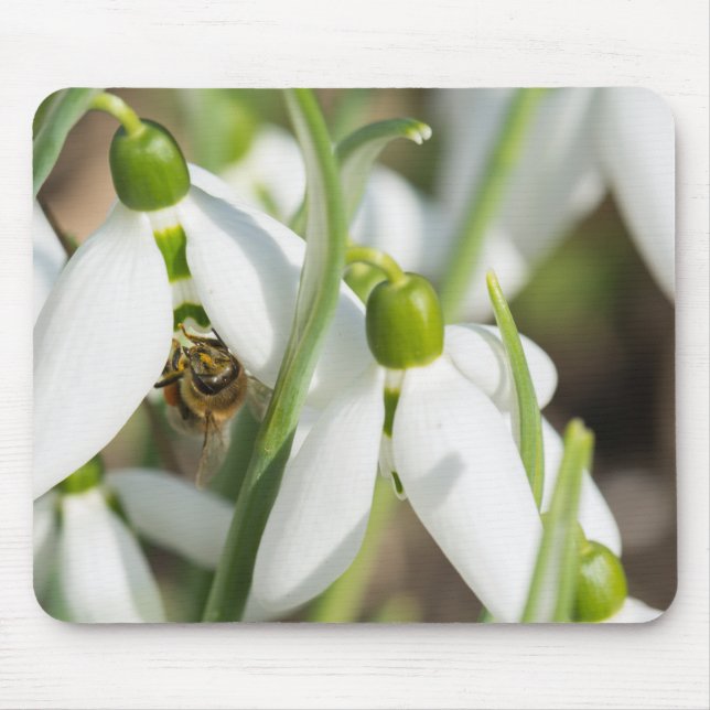 Snowdrops flowers mouse pad (Front)
