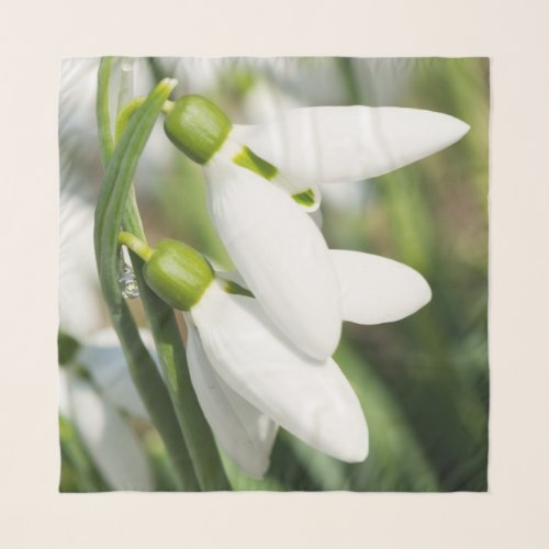 Snowdrops flowers scarf