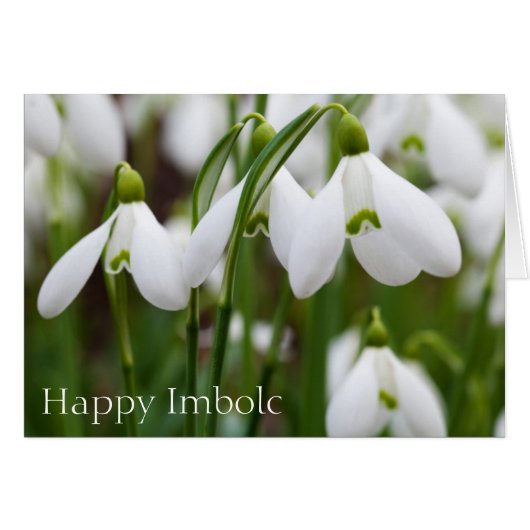 Snowdrops - Happy Imbolc Cards (Front Horizontal)