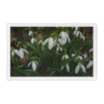 Snowdrops I (Galanthus) White Spring Flowers Acrylic Tray