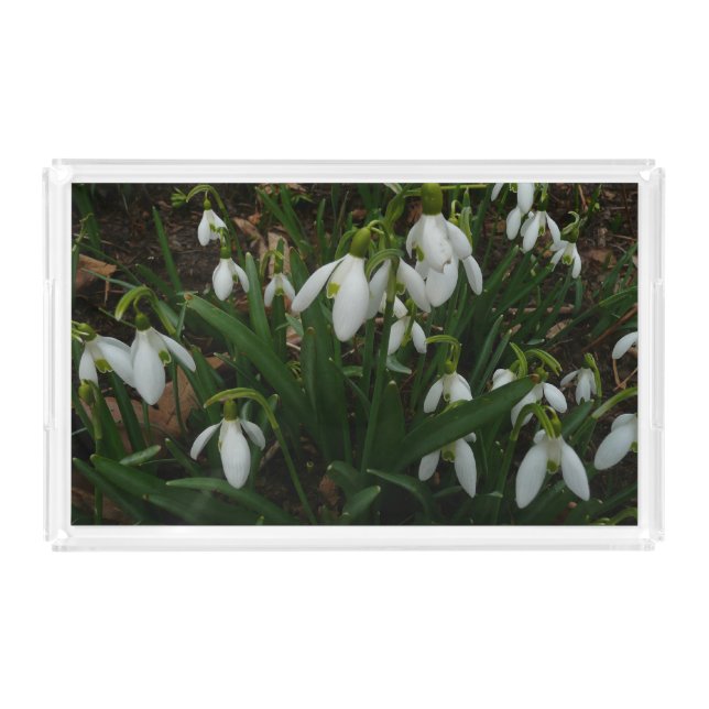 Snowdrops I (Galanthus) White Spring Flowers Acrylic Tray (Front)