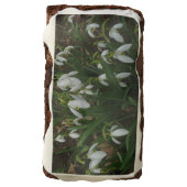 Snowdrops I (Galanthus) White Spring Flowers Brownie (Rotated)