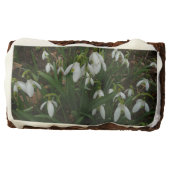 Snowdrops I (Galanthus) White Spring Flowers Brownie (Front)