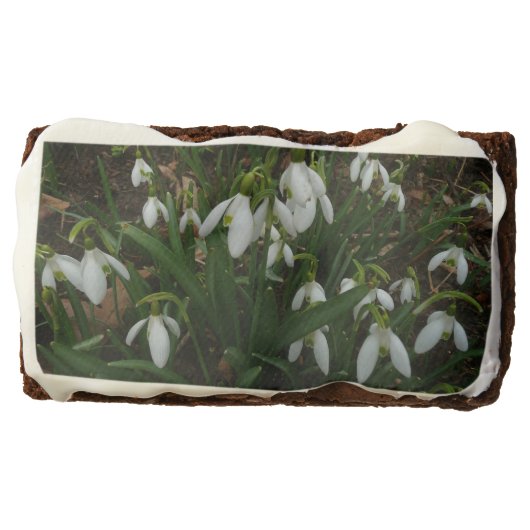 Snowdrops I (Galanthus) White Spring Flowers Brownie (Front)