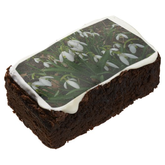 Snowdrops I (Galanthus) White Spring Flowers Brownie (Angled)