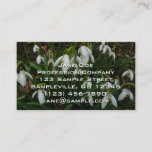Snowdrops I (Galanthus) White Spring Flowers Business Card