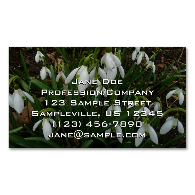 Snowdrops I (Galanthus) White Spring Flowers Business Card Magnet (Front)