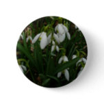 Snowdrops I (Galanthus) White Spring Flowers Button