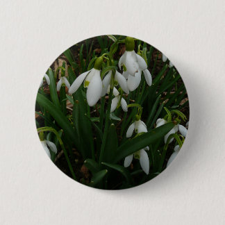 Snowdrops I (Galanthus) White Spring Flowers Button