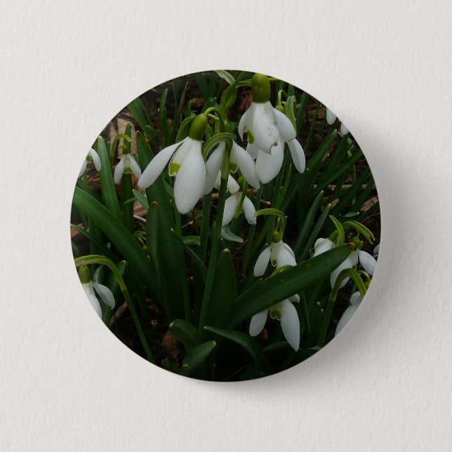 Snowdrops I (Galanthus) White Spring Flowers Button (Front)
