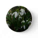 Snowdrops I (Galanthus) White Spring Flowers Button