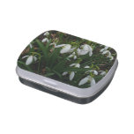 Snowdrops I (Galanthus) White Spring Flowers Candy Tin