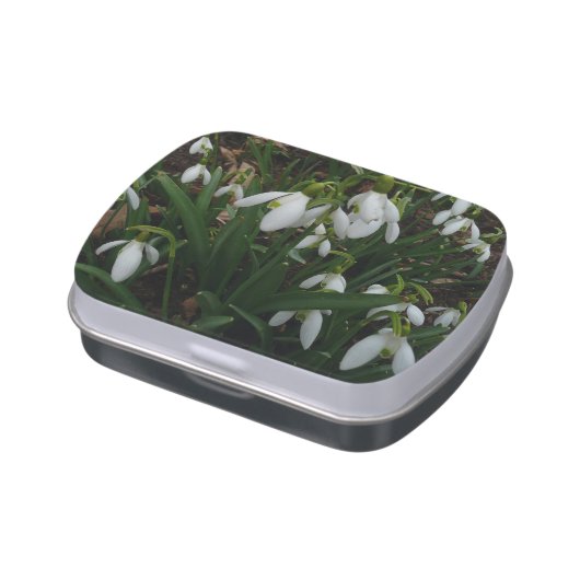 Snowdrops I (Galanthus) White Spring Flowers Candy Tin (Side)