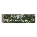Snowdrops I (Galanthus) White Spring Flowers Car Magnet