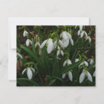 Snowdrops I (Galanthus) White Spring Flowers Card