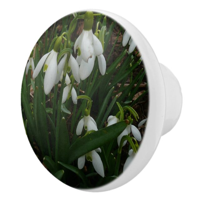 Snowdrops I (Galanthus) White Spring Flowers Ceramic Knob (Right)