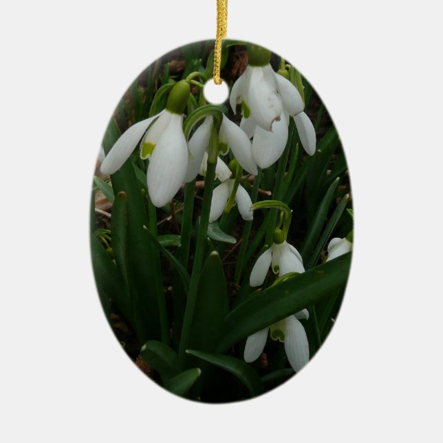 Snowdrops I (Galanthus) White Spring Flowers Ceramic Ornament (Front)