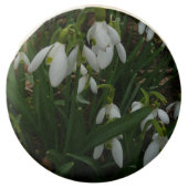 Snowdrops I (Galanthus) White Spring Flowers Chocolate Dipped Oreo (Front)