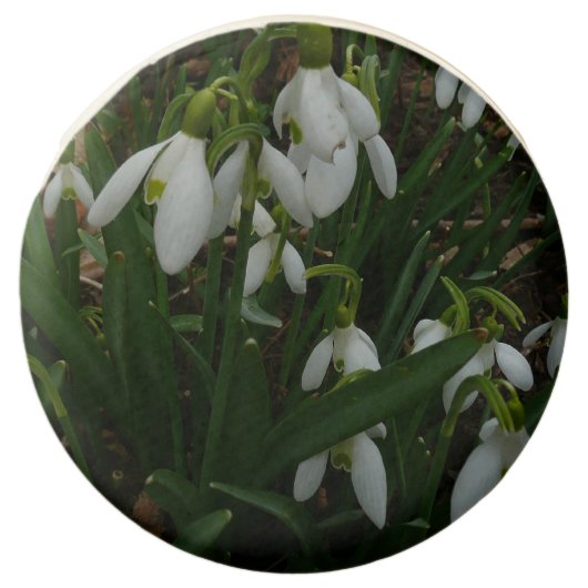 Snowdrops I (Galanthus) White Spring Flowers Chocolate Dipped Oreo (Front)
