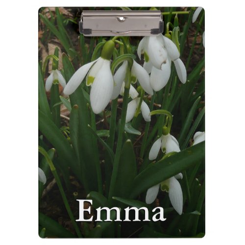 Snowdrops I Galanthus White Spring Flowers Clipboard