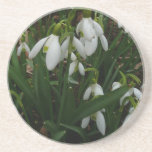 Snowdrops I (Galanthus) White Spring Flowers Drink Coaster
