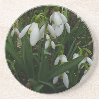 Snowdrops I (Galanthus) White Spring Flowers Drink Coaster